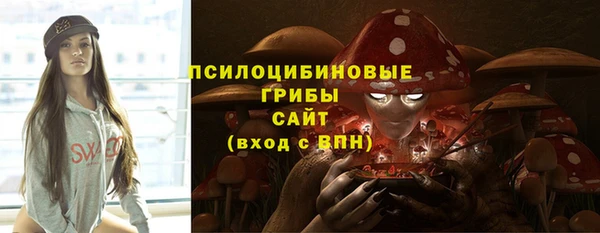 ПСИЛОЦИБИНОВЫЕ ГРИБЫ Алзамай