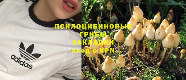 ПСИЛОЦИБИНОВЫЕ ГРИБЫ Алзамай