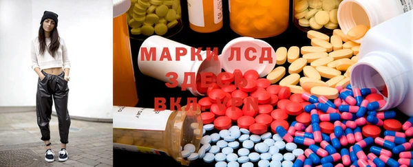 ПСИЛОЦИБИНОВЫЕ ГРИБЫ Алзамай
