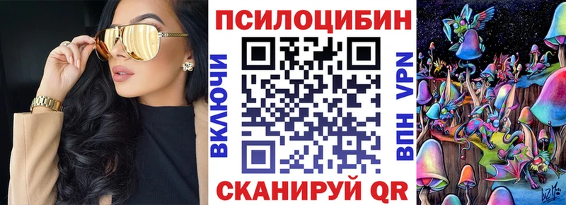 Псилоцибиновые грибы Psilocybe ссылка на мегу рабочий сайт Покров
